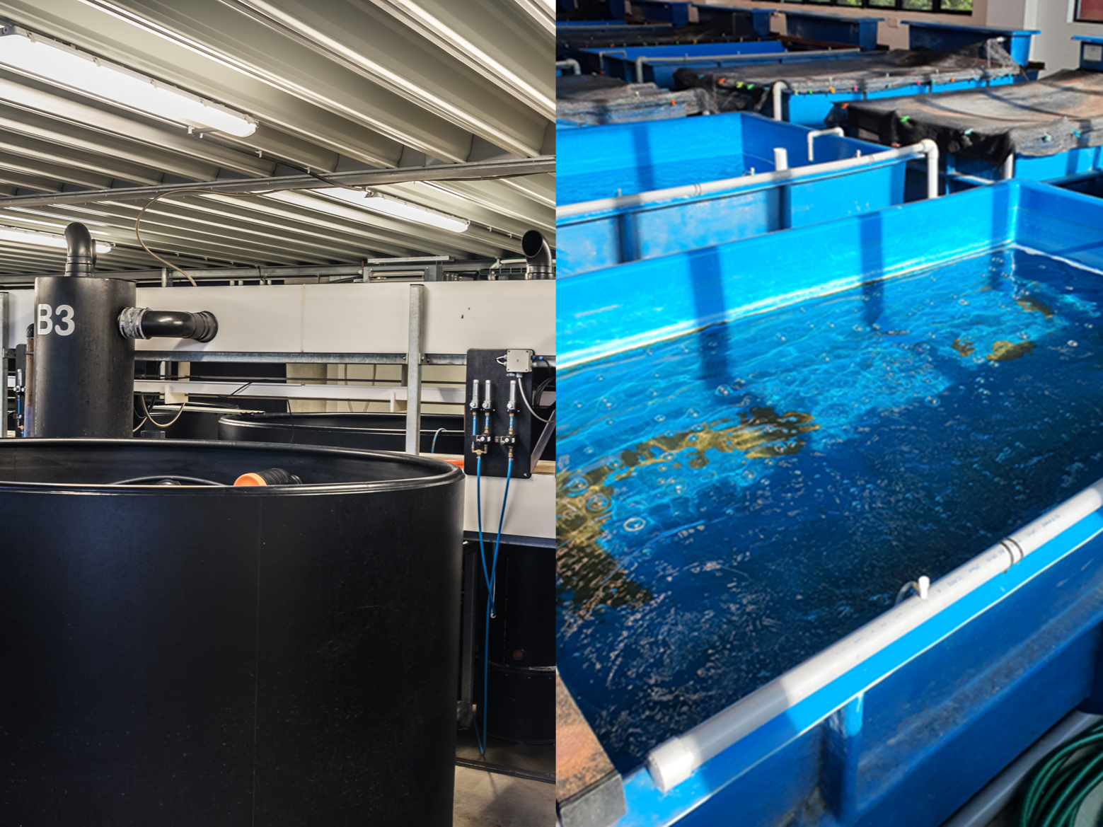 Image is not available