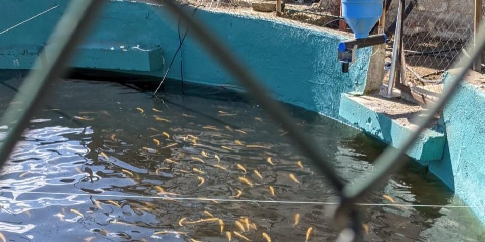 Image is not available