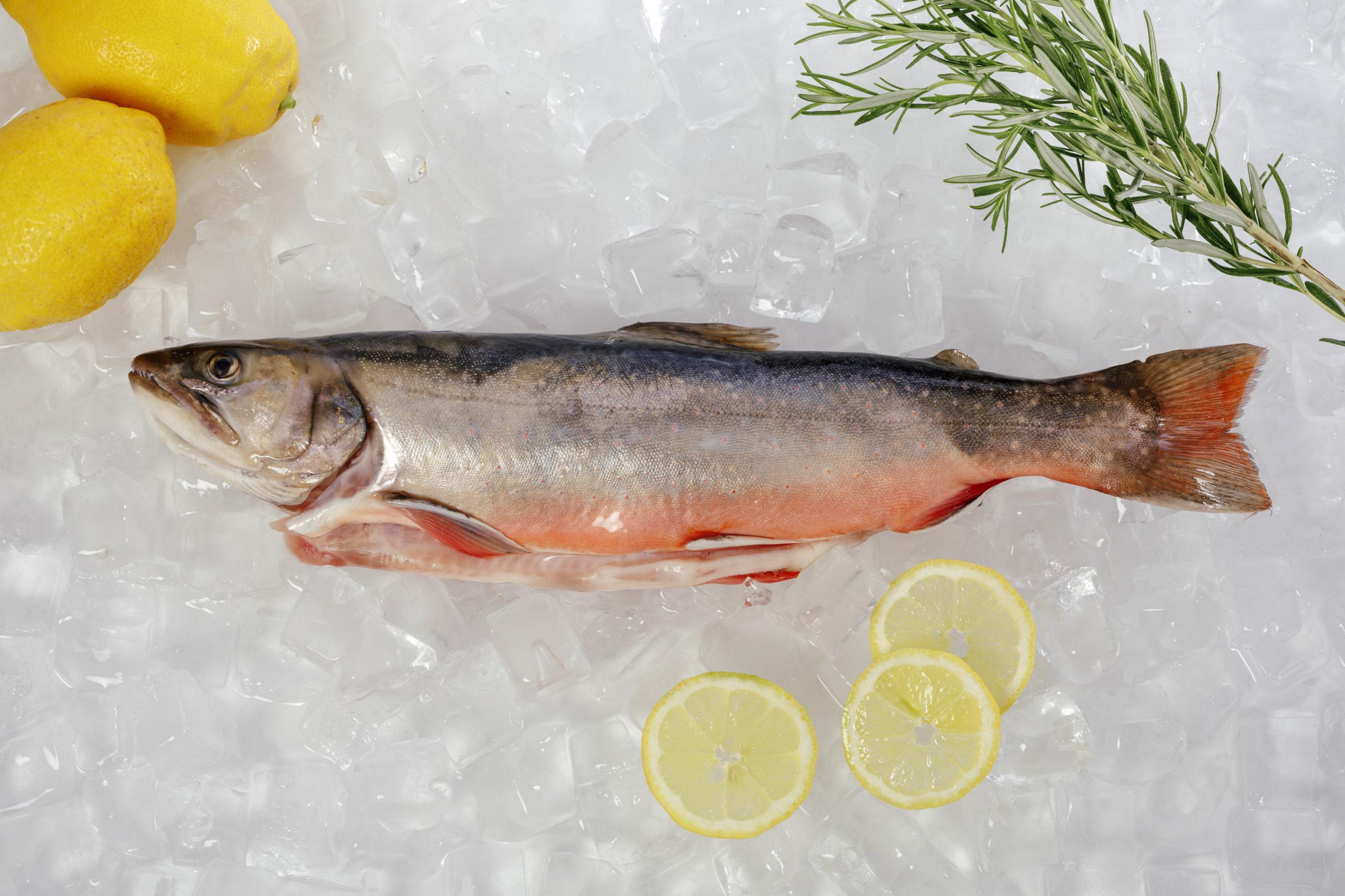 Image is not available