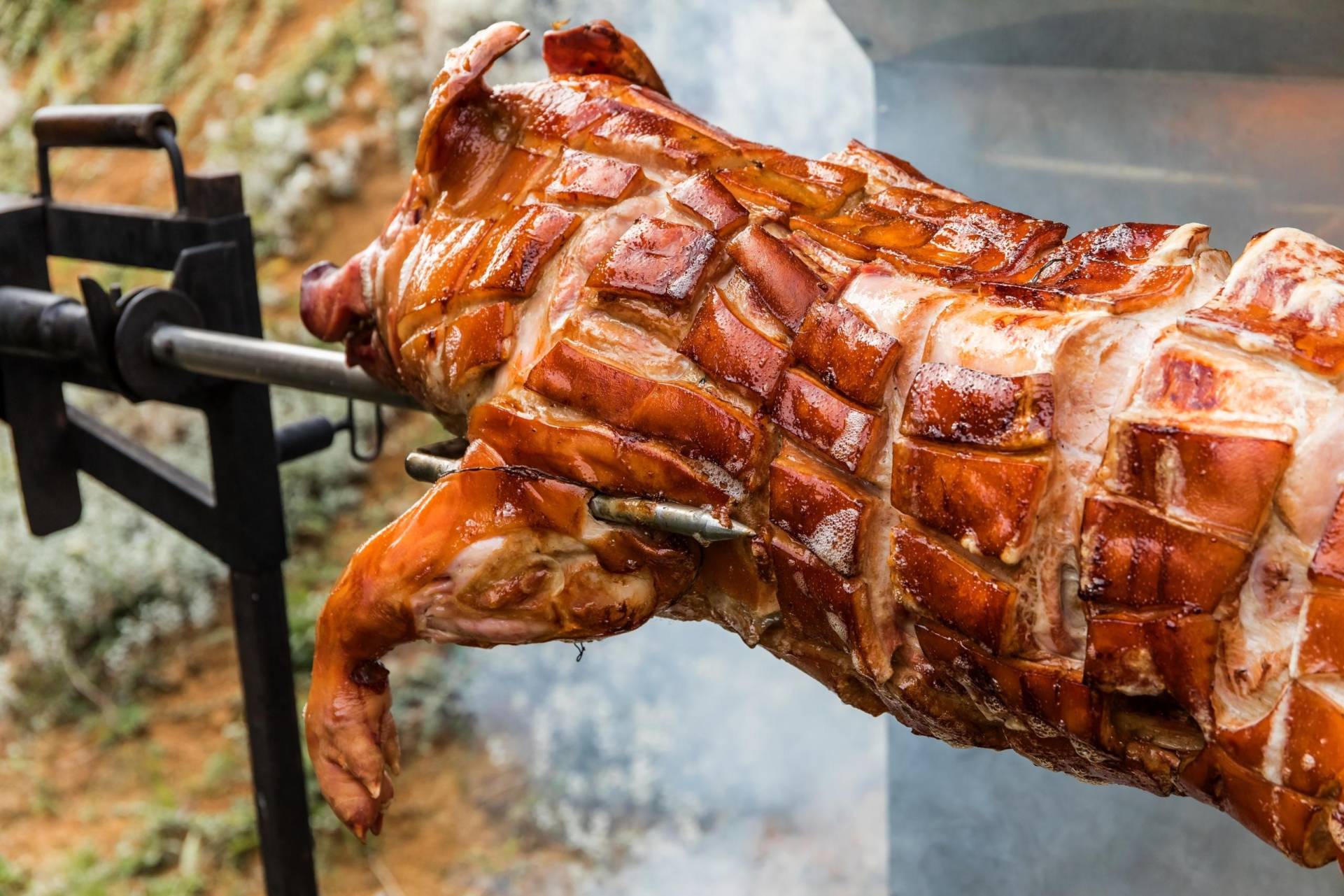 Promaris Fisch & Co Shop